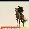 muhammadhaneef509