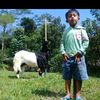 azkha_azkhia_farm