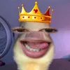 hessiejc