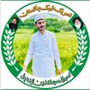dilawarijutt07