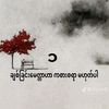 theintthinzaroo12