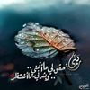 mahmoud.omar61