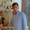 ali.hamza8379