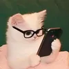 khhy_313