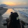 bwifey0710