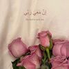 nany8429