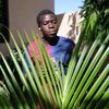 bahdiabate0