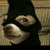 risasycaidas13