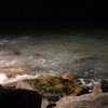 anjellybean4