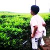 faizzztz