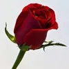 user1602612561267