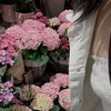 mey_mey0512
