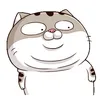 nhim_hihihaha