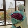 abekenyn_guli