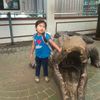 kienah343
