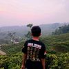 ardirealistis