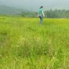 tnhmaith