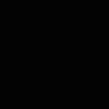 pau1inax4347