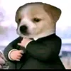 cothelasengu