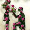 user2159096638679