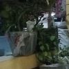 iwan57233