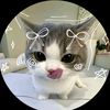 yr_tuni0