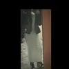 whosnisrin