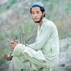 ameerhamzamalang