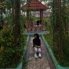 disty.n