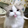 doriy238