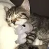 tonana_13