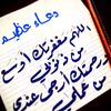 user8499215081078