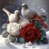 user79612957612117