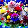 user270493166782