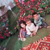 iman8783