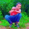 mammee245