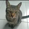 borrachinha08