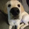 nglfrfrfrfrfrfr