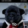 laureanoramirez099