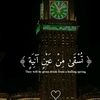 user9871828425309