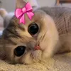 fy_0hg