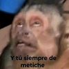 holitademar1bvt