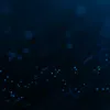 lucaswjll_