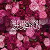 hoshyar204