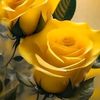 user23086782138815