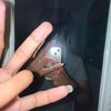 lankz_a2