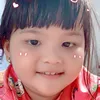 user424220200