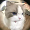cutihotme02