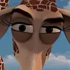 _cobebi_