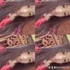 linhchi8679
